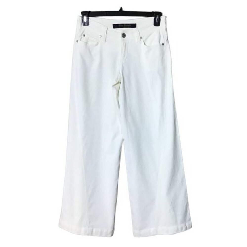Blue‎ Pointe Linen Pants Women 9 Wide Leg Y2K Baggy Streetwear Beachy Emb…